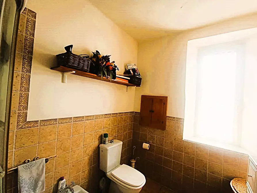 Immagine 23 di Terratetto in vendita  a Massa