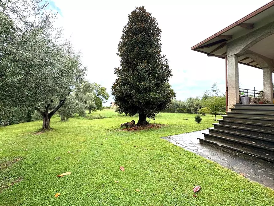 Immagine 4 di Villa in vendita  a Montignoso