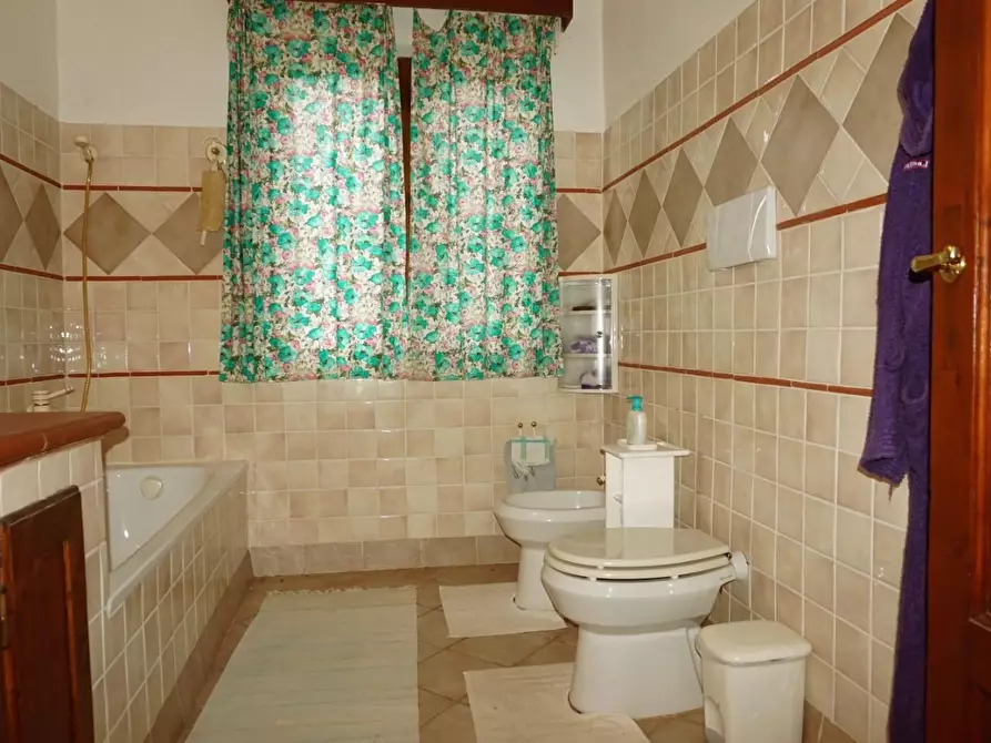 Immagine 6 di Casa colonica in vendita  a San Miniato