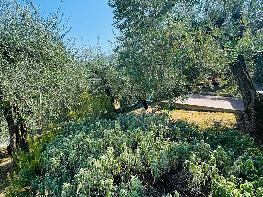 Immagine 20 di Terratetto in vendita  a Capannori