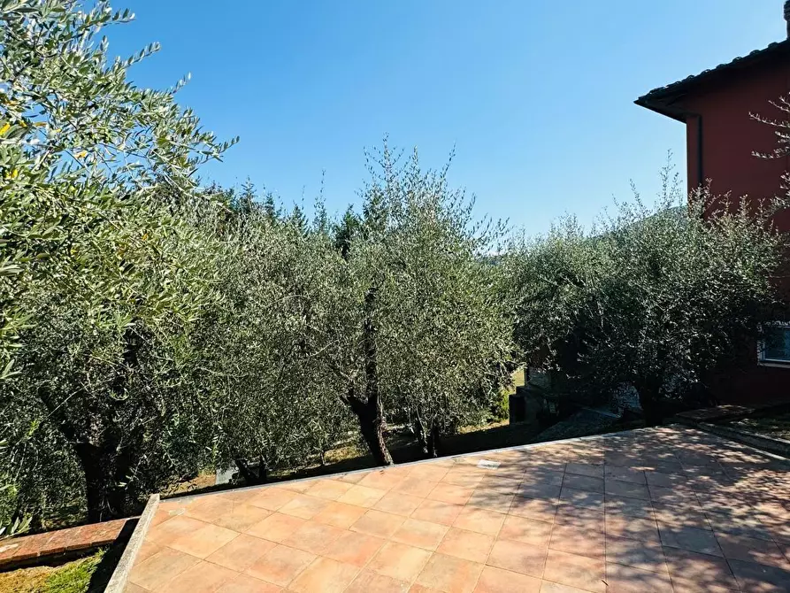 Immagine 18 di Terratetto in vendita  a Capannori