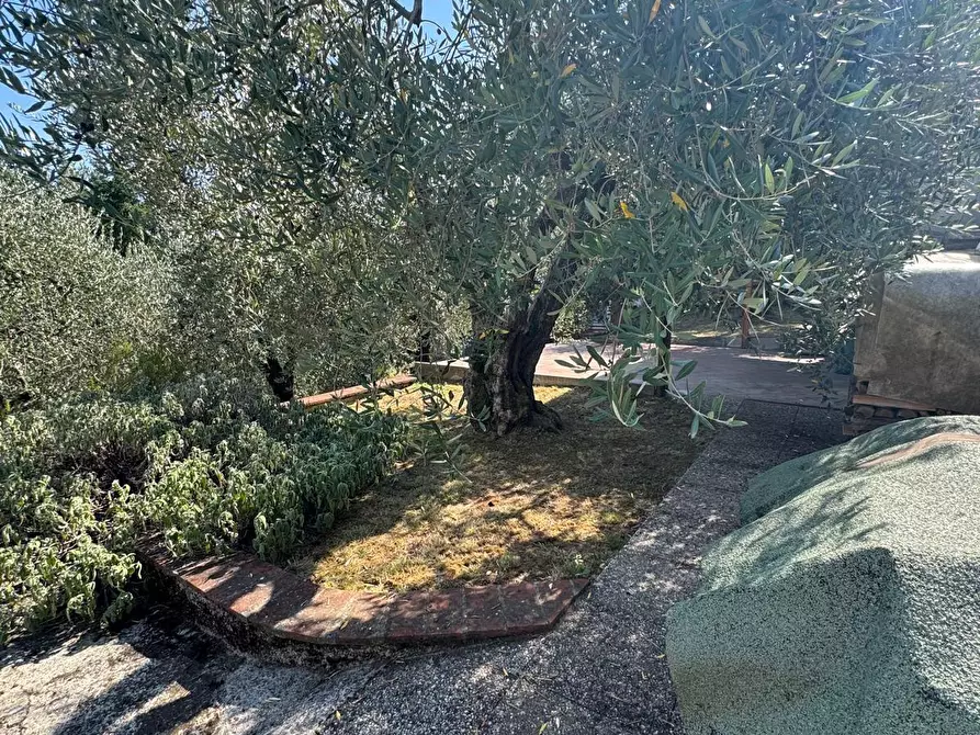 Immagine 13 di Terratetto in vendita  a Capannori