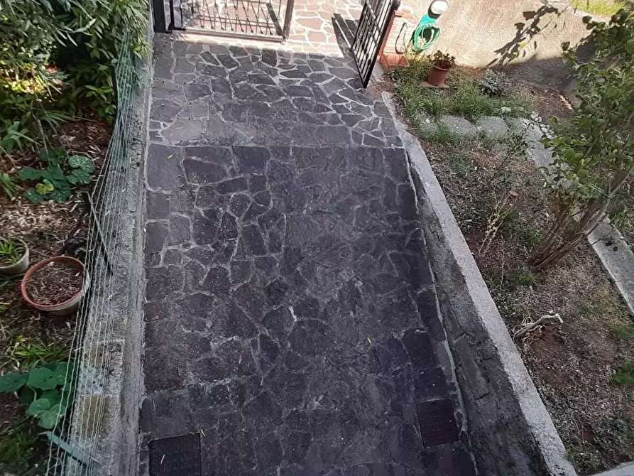 Immagine 55 di Terratetto in vendita  a Rosignano Marittimo