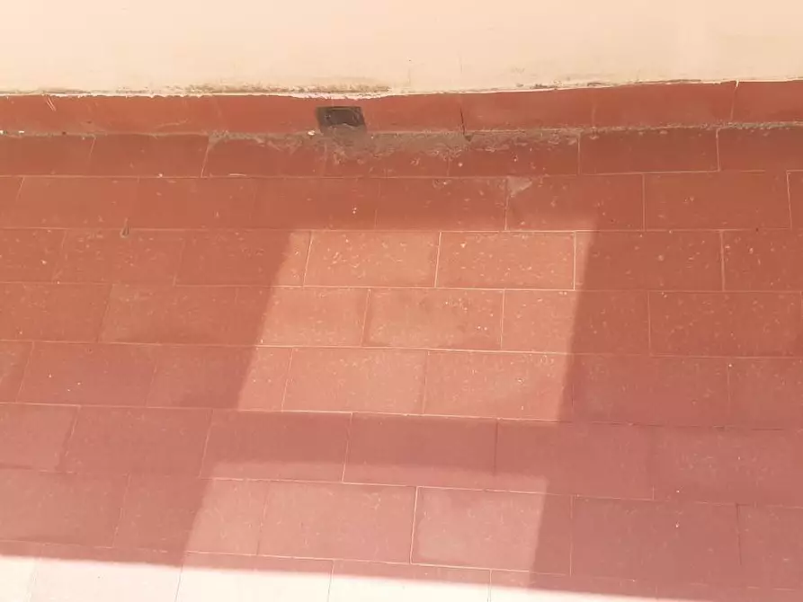 Immagine 20 di Terratetto in vendita  a Rosignano Marittimo