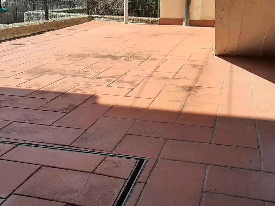 Immagine 13 di Terratetto in vendita  a Rosignano Marittimo