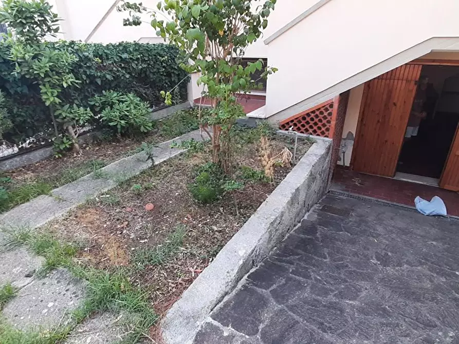 Immagine 53 di Terratetto in vendita  a Rosignano Marittimo