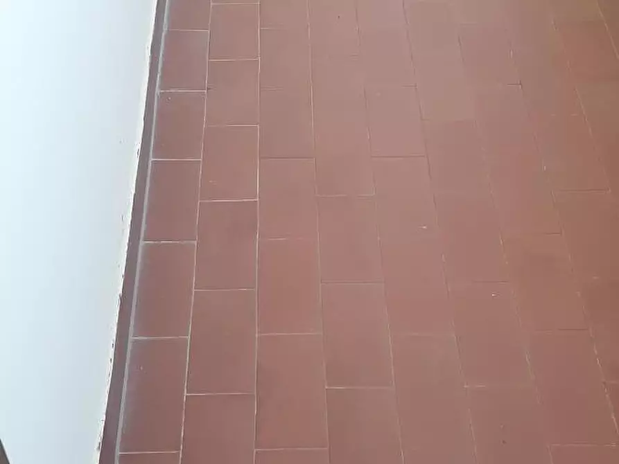 Immagine 28 di Terratetto in vendita  a Rosignano Marittimo