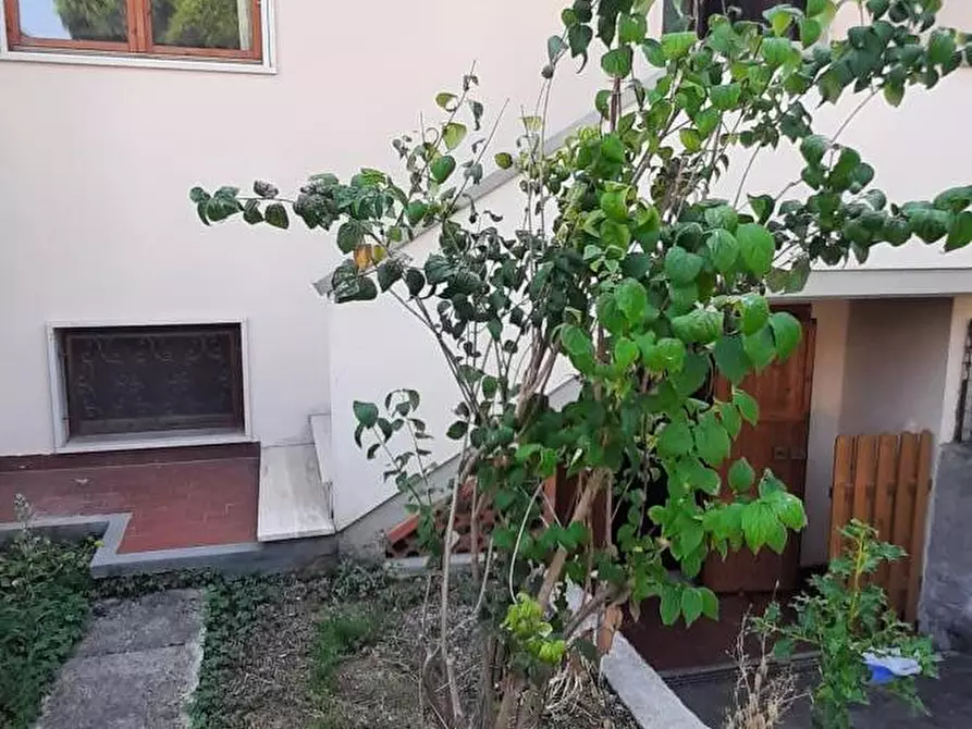 Immagine 54 di Terratetto in vendita  a Rosignano Marittimo