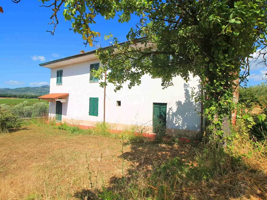 Immagine 2 di Casa colonica in vendita  a Lamporecchio