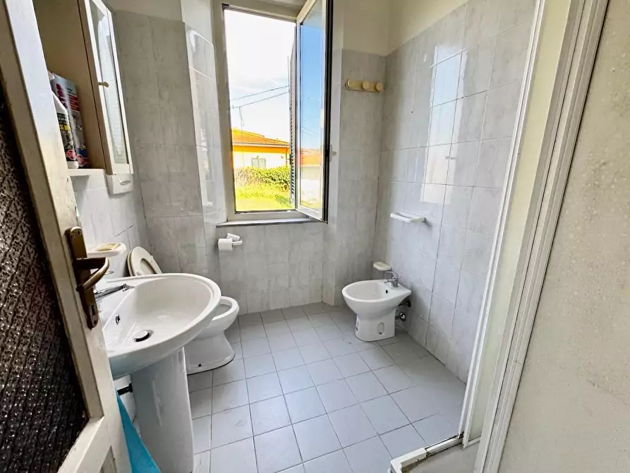 Immagine 18 di Appartamento in affitto  a Pisa