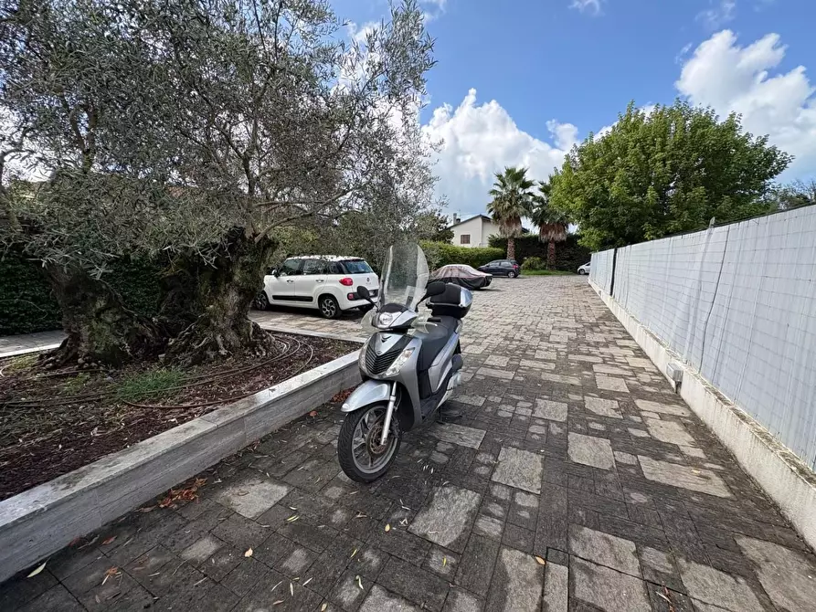 Immagine 23 di Appartamento in vendita  a Montignoso