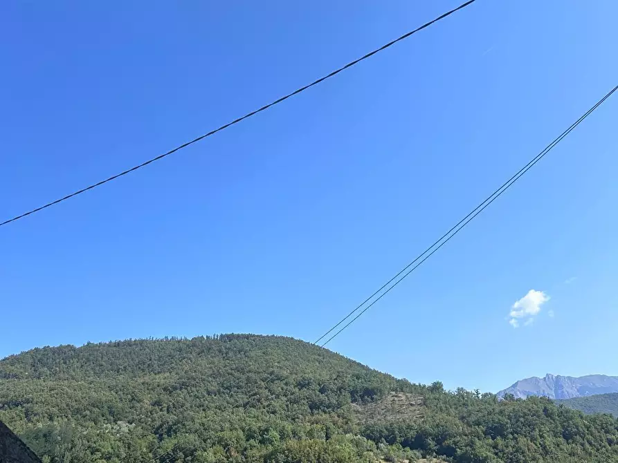 Immagine 6 di Magazzino in vendita  a Casola In Lunigiana