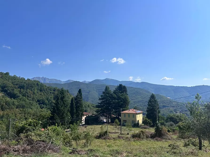 Immagine 2 di Magazzino in vendita  a Casola In Lunigiana