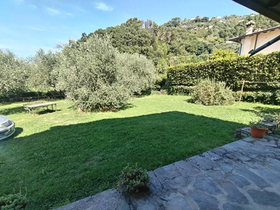 Immagine 4 di Casa bifamiliare in vendita  a Montignoso