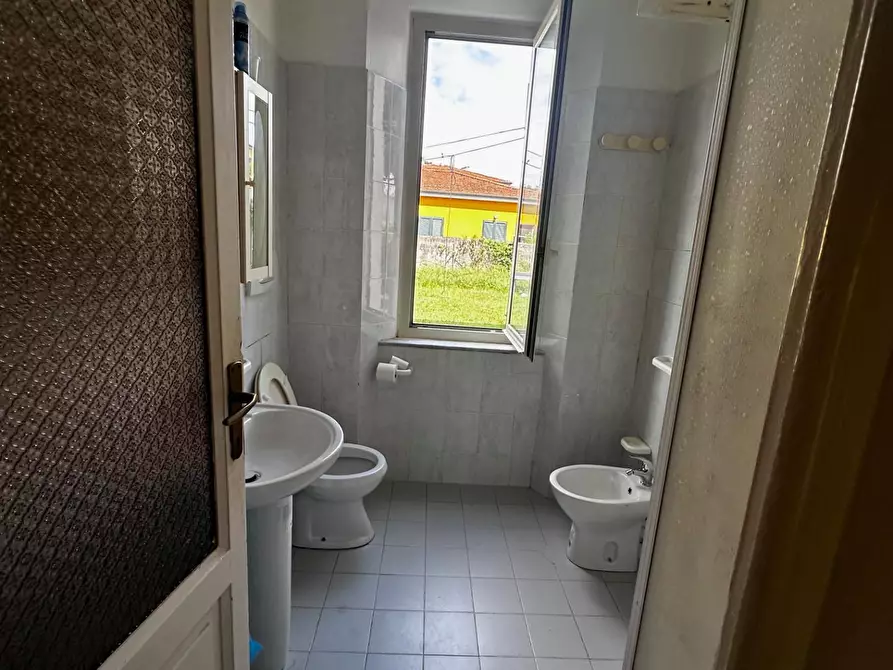 Immagine 19 di Appartamento in affitto  a Pisa