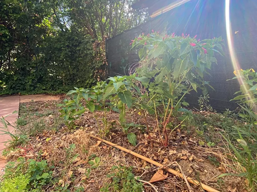 Immagine 2 di Appartamento in vendita  a Montelupo Fiorentino