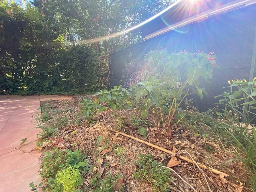 Immagine 3 di Appartamento in vendita  a Montelupo Fiorentino