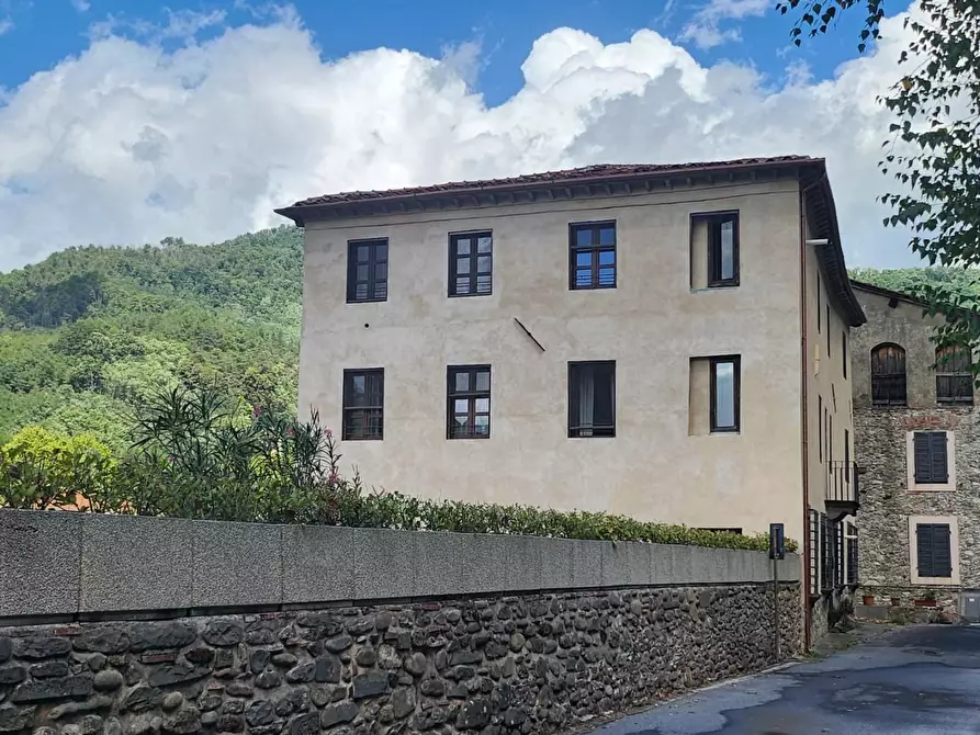 Immagine 3 di Casa indipendente in vendita  a Borgo A Mozzano