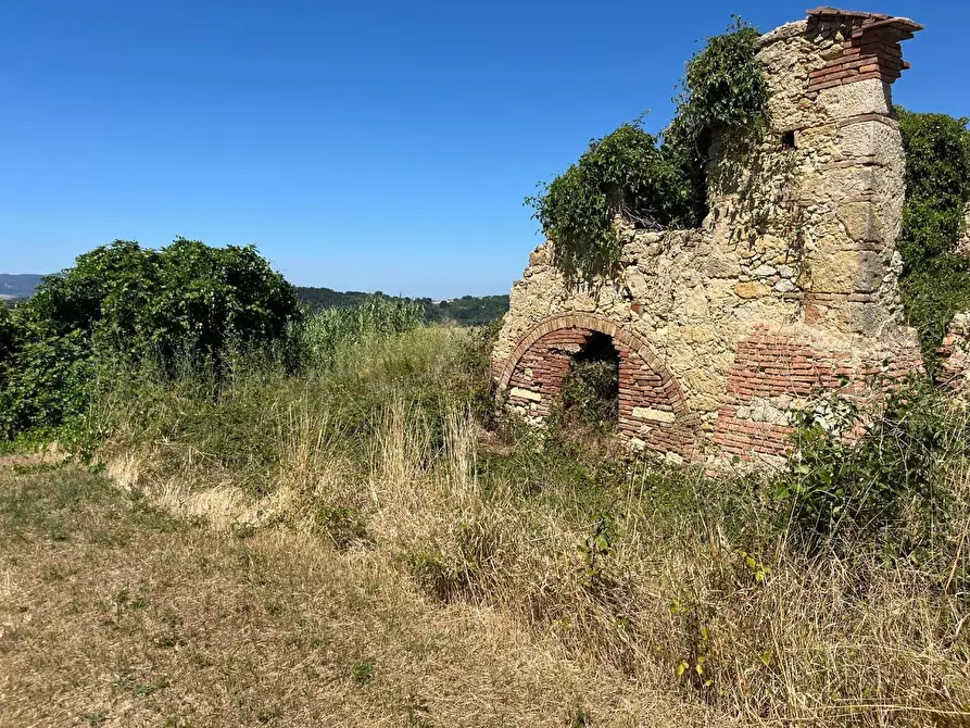 Immagine 12 di Casa colonica in vendita  a Casciana Terme Lari