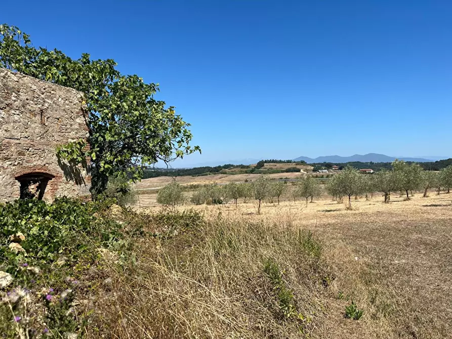 Immagine 16 di Casa colonica in vendita  a Casciana Terme Lari