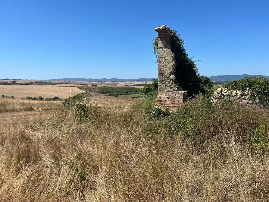 Immagine 6 di Casa colonica in vendita  a Casciana Terme Lari