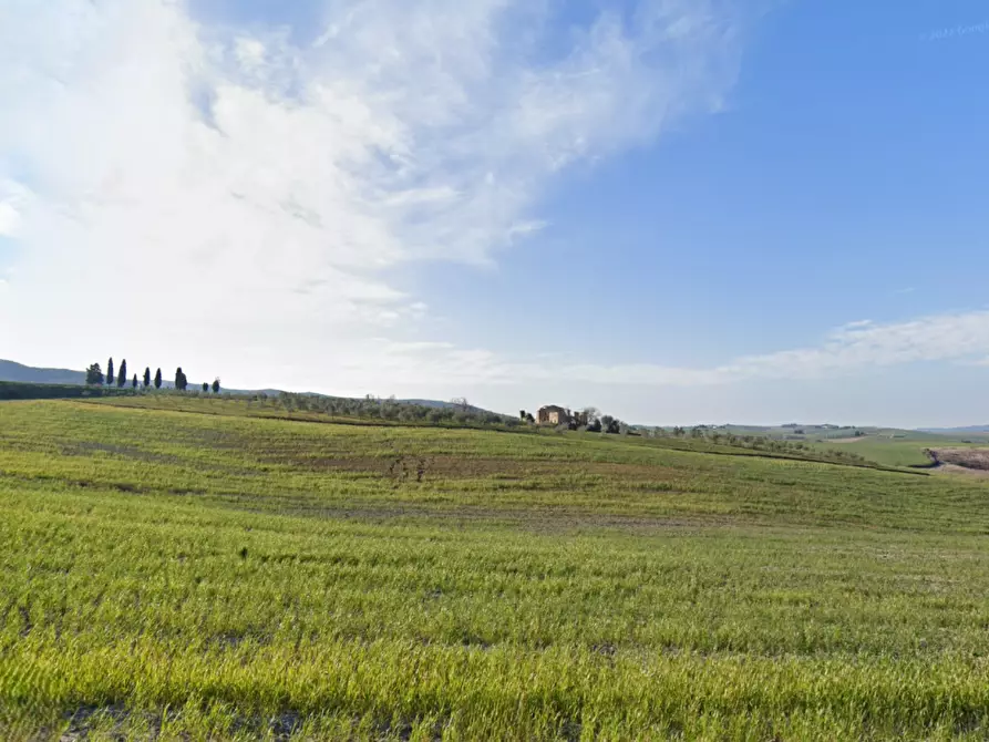 Immagine 3 di Casa colonica in vendita  a Casciana Terme Lari