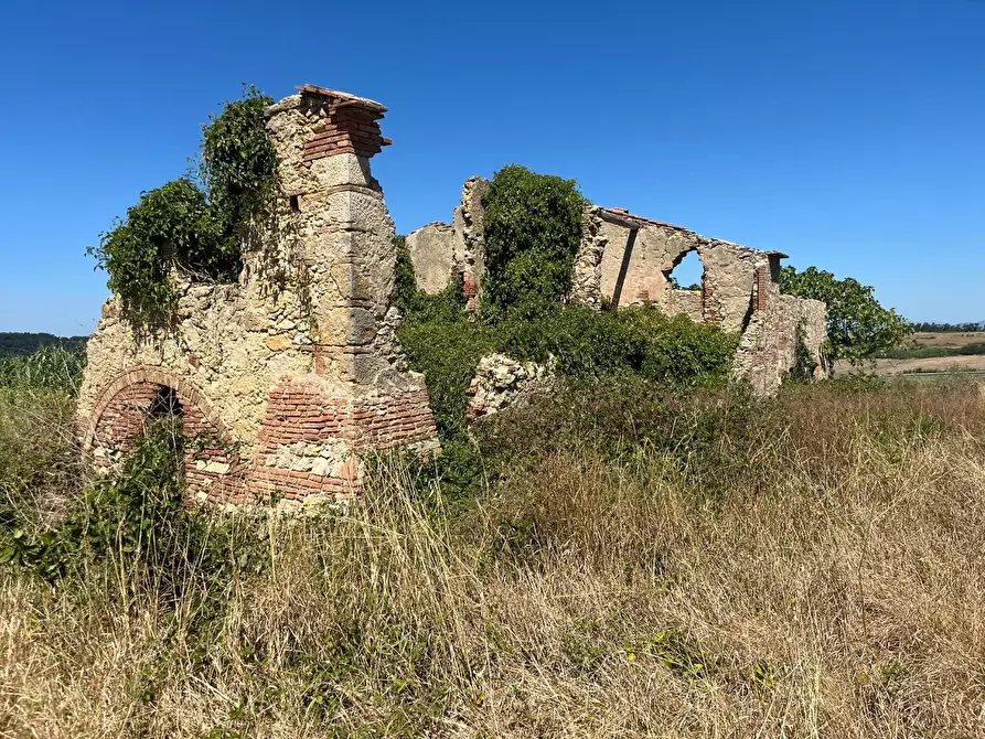 Immagine 8 di Casa colonica in vendita  a Casciana Terme Lari