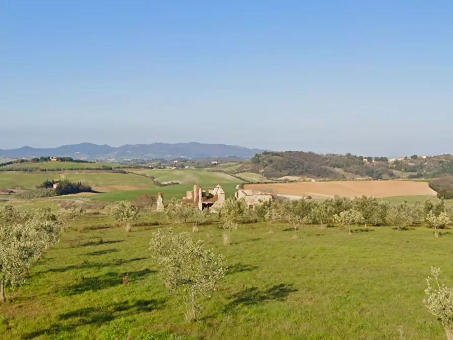Immagine 1 di Casa colonica in vendita  a Casciana Terme Lari