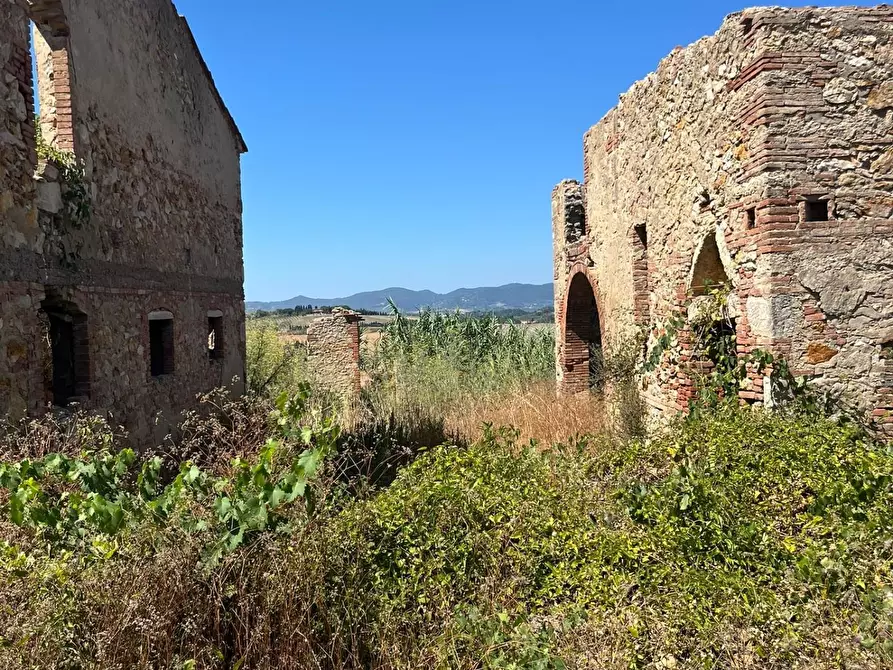 Immagine 21 di Casa colonica in vendita  a Casciana Terme Lari
