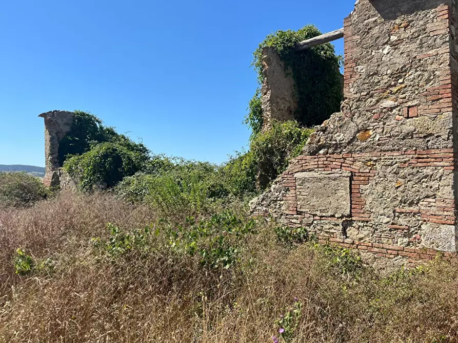 Immagine 19 di Casa colonica in vendita  a Casciana Terme Lari