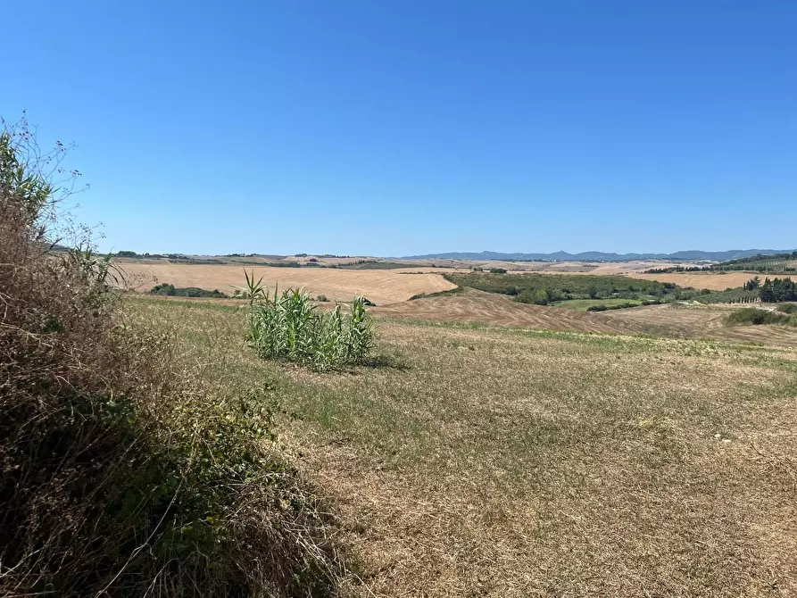 Immagine 13 di Casa colonica in vendita  a Casciana Terme Lari