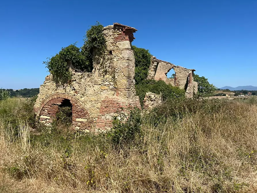 Immagine 11 di Casa colonica in vendita  a Casciana Terme Lari