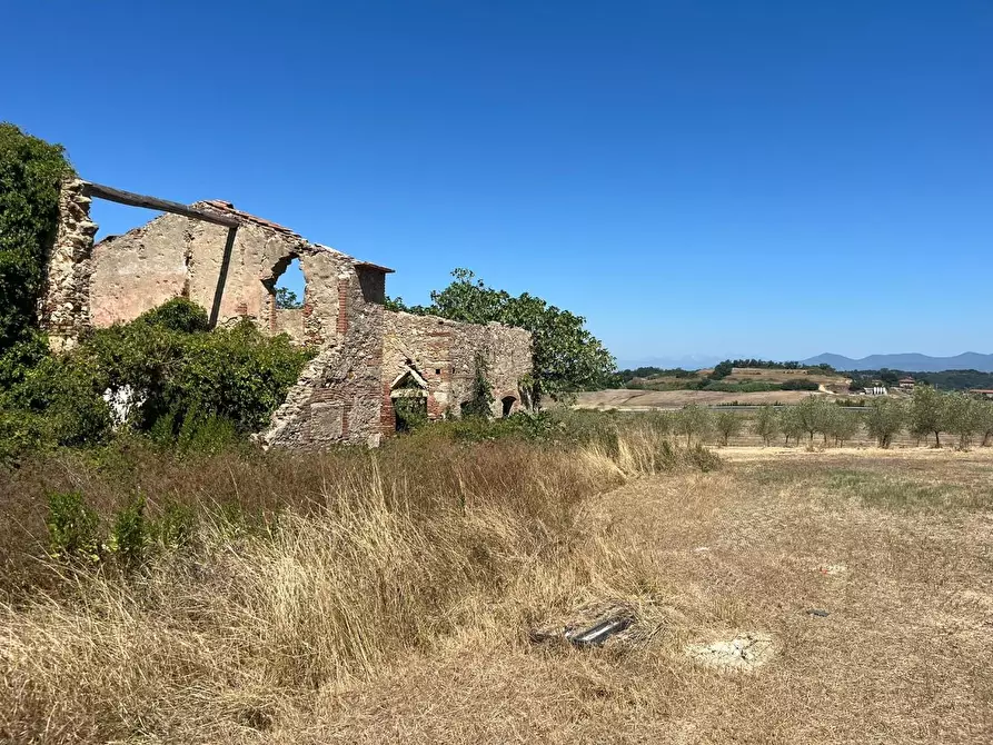 Immagine 4 di Casa colonica in vendita  a Casciana Terme Lari