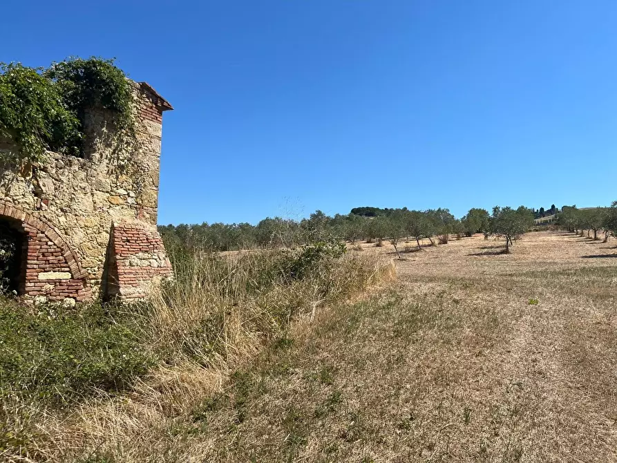 Immagine 9 di Casa colonica in vendita  a Casciana Terme Lari