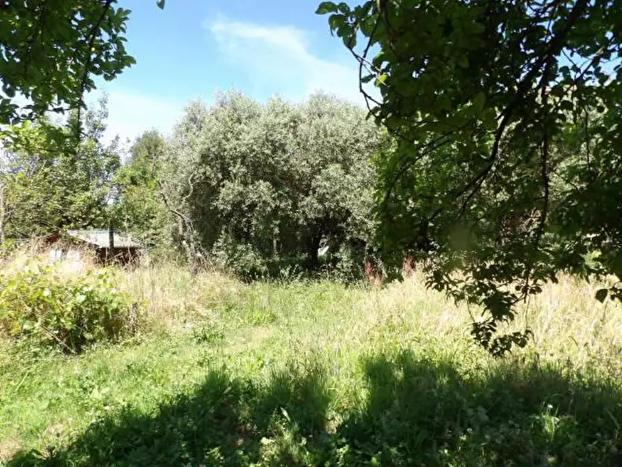 Immagine 9 di Porzione di casa in vendita  a Capannori