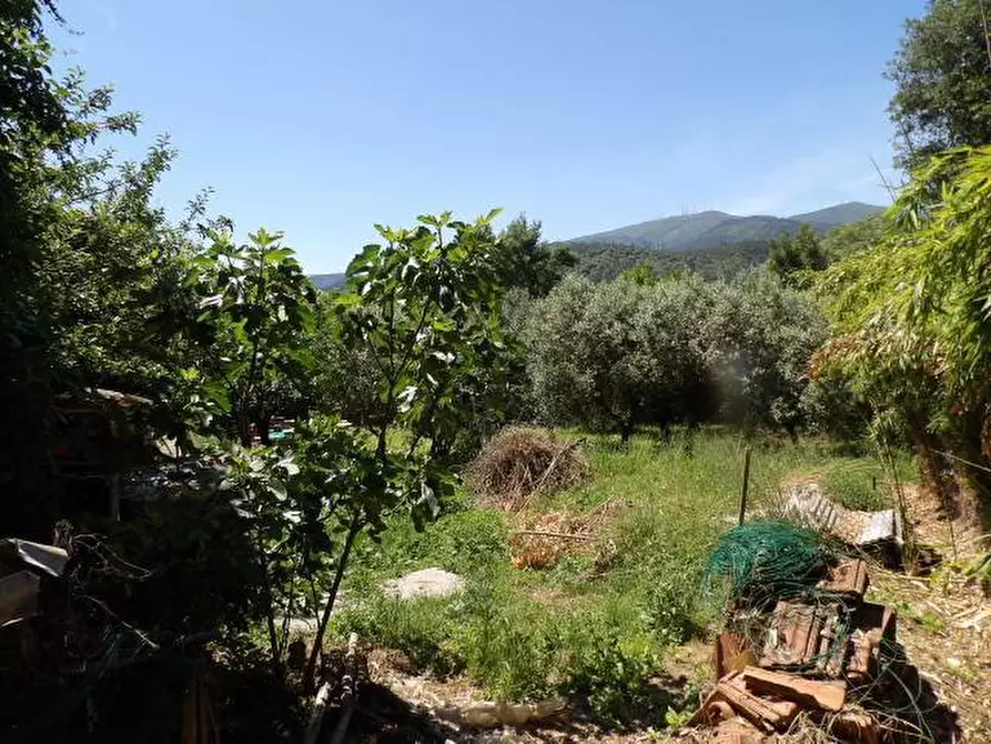 Immagine 8 di Porzione di casa in vendita  a Capannori