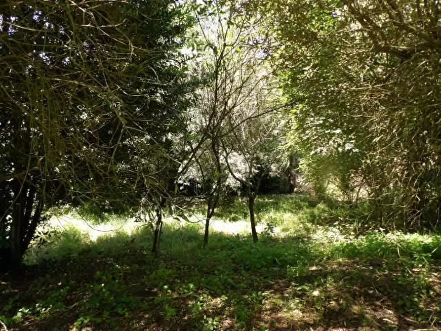 Immagine 10 di Porzione di casa in vendita  a Capannori