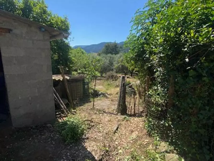 Immagine 11 di Porzione di casa in vendita  a Capannori