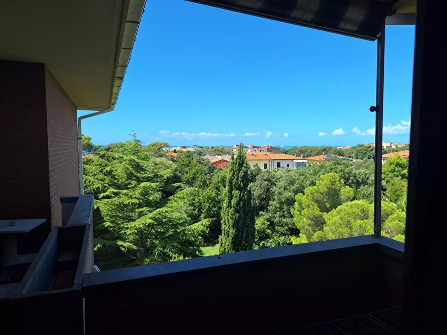Immagine 1 di Appartamento in affitto  a Livorno