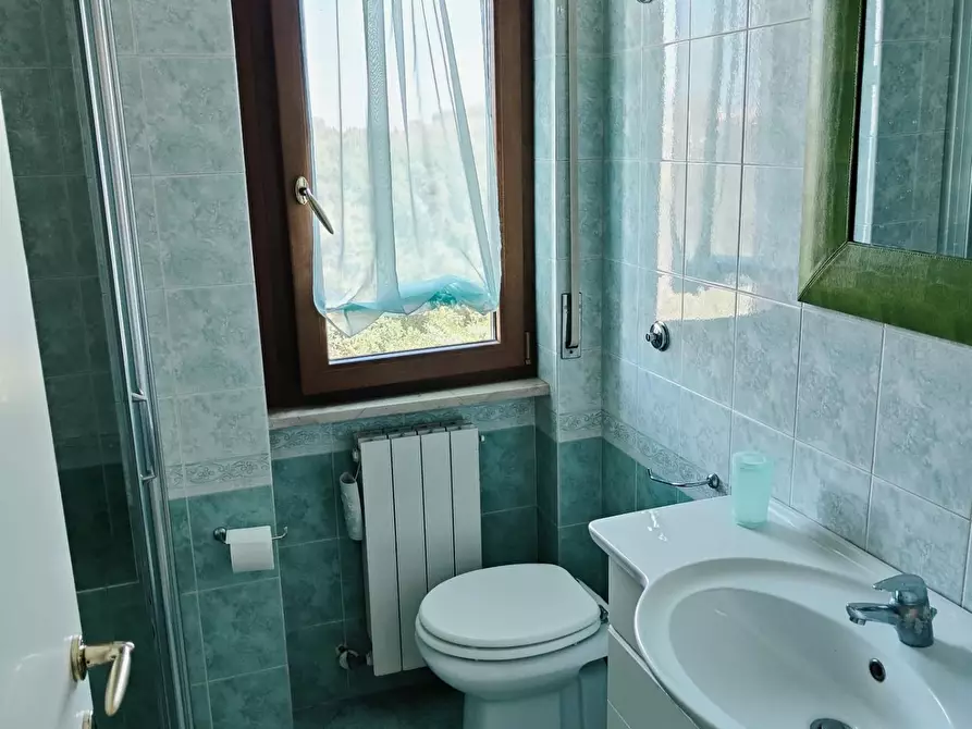 Immagine 12 di Appartamento in affitto  a Livorno