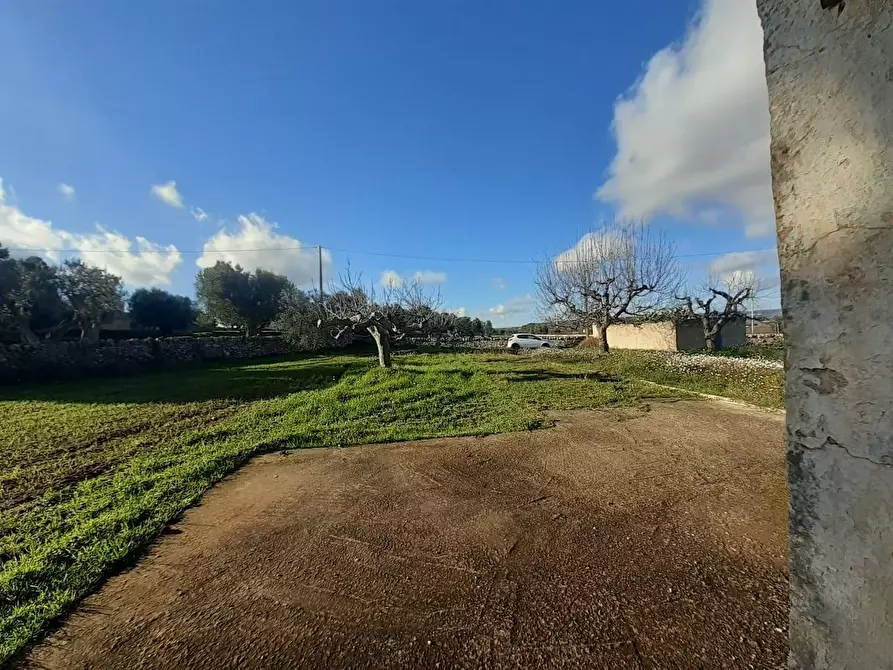 Immagine 3 di Terreno industriale in vendita  a Crispiano