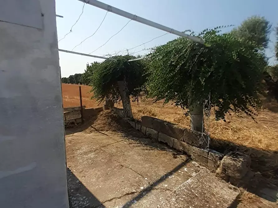 Immagine 8 di Terreno industriale in vendita  a Crispiano