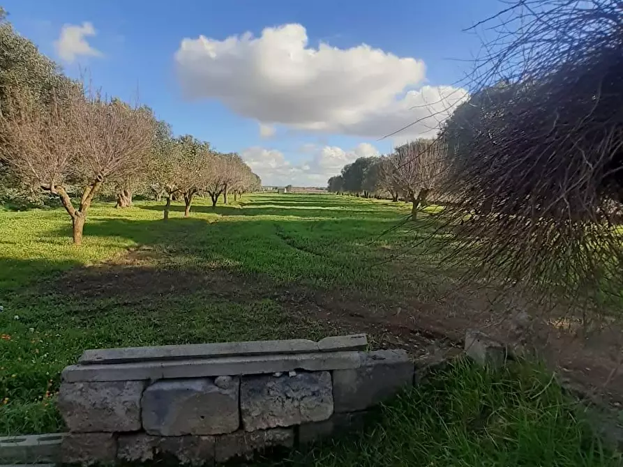 Immagine 10 di Terreno industriale in vendita  a Crispiano