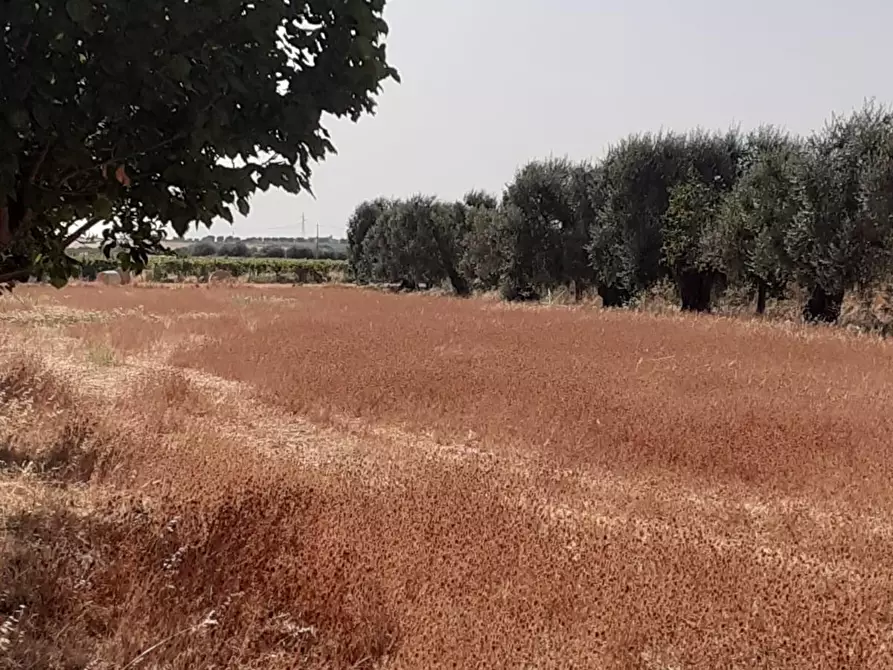 Immagine 16 di Terreno industriale in vendita  a Crispiano