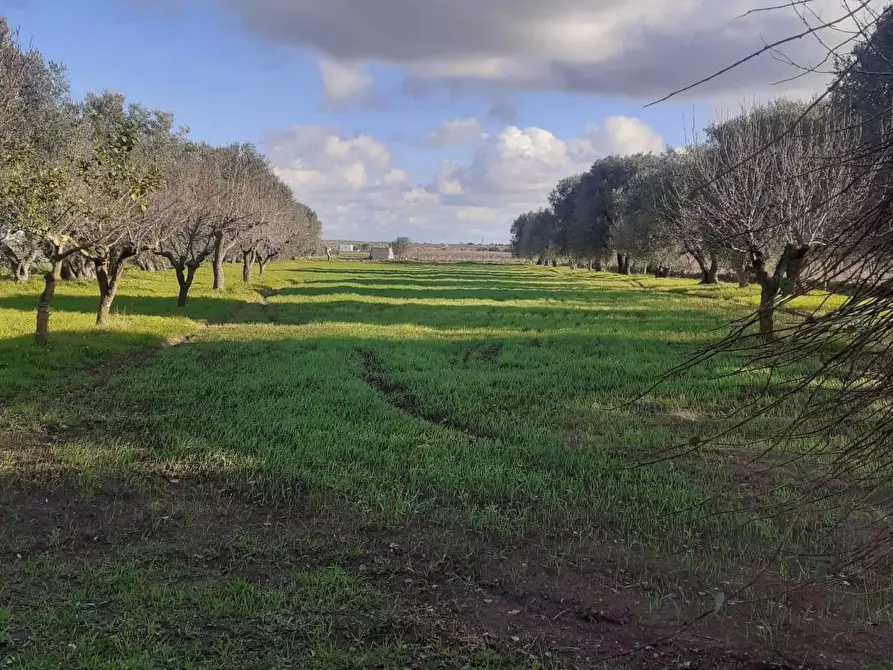 Immagine 25 di Terreno industriale in vendita  a Crispiano