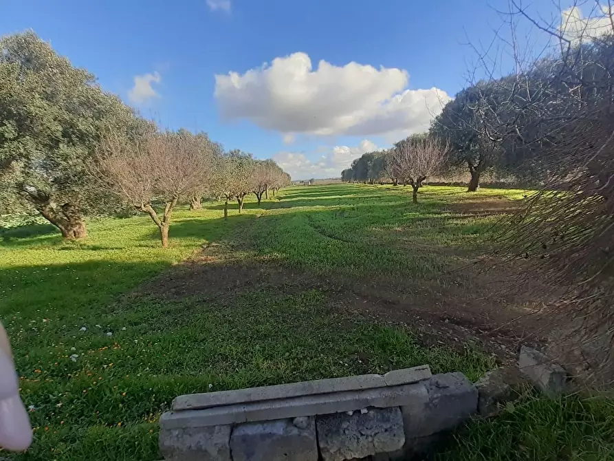 Immagine 1 di Terreno industriale in vendita  a Crispiano