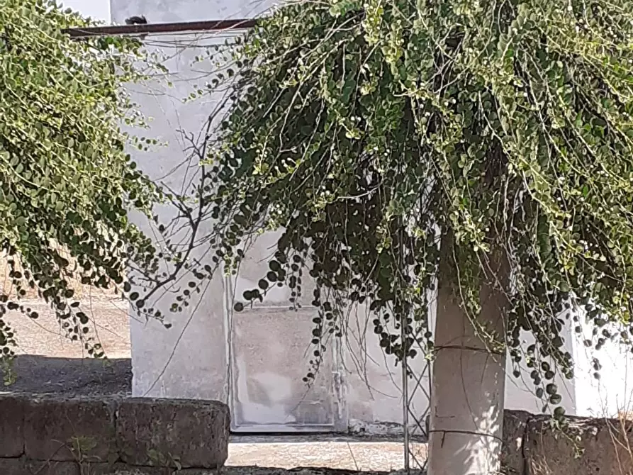 Immagine 6 di Terreno industriale in vendita  a Crispiano