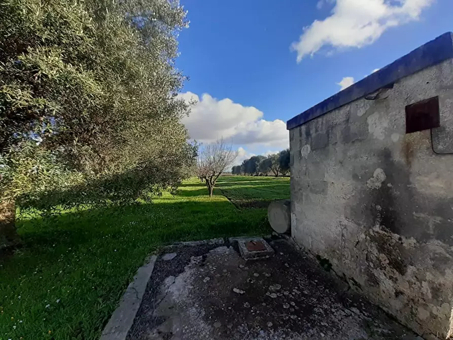 Immagine 2 di Terreno industriale in vendita  a Crispiano