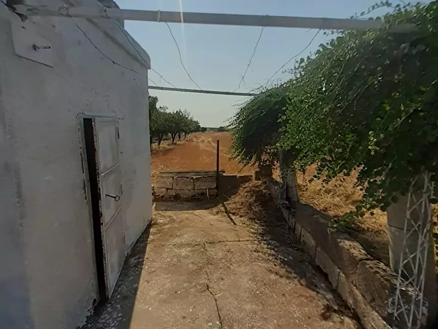 Immagine 14 di Terreno industriale in vendita  a Crispiano