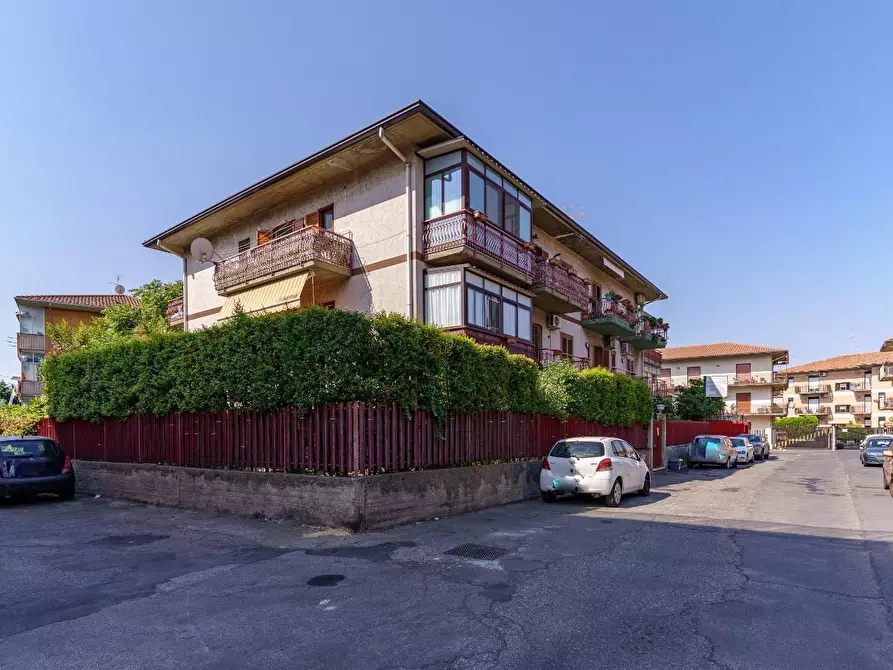 Immagine 24 di Appartamento in vendita  a Mascalucia